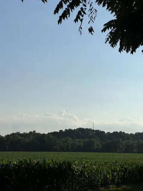 Green fields meet blue skies, a perfect summer day.